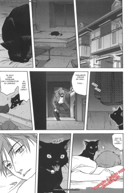 Neko No Ongaeshi (Mitarashi Kousei)